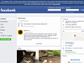 https://www.facebook.com/Gl%c3%bcckliche-Hundepfoten-169951260017502/
