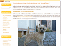 http://www.hundefriseur.com/