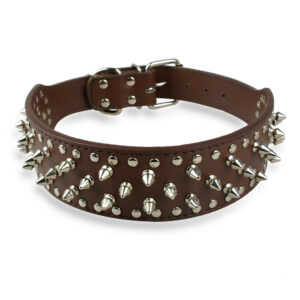 Halsband für Hunde